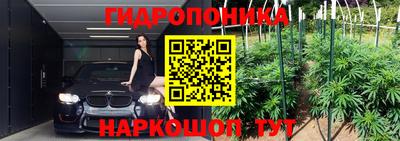 PSILOCYBIN Кумертау