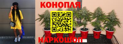 PSILOCYBIN Кумертау