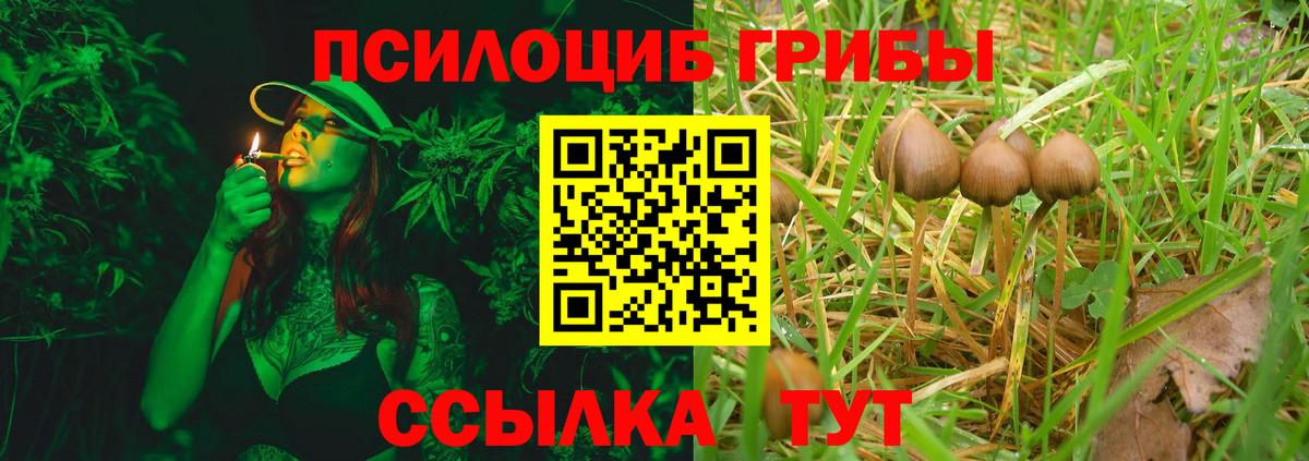 Галлюциногенные грибы MAGIC MUSHROOMS  Псилоцибиновые грибы Psilocybine cubensis  Вход с VPN  Белово 